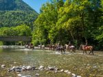 © "Au Fil du Giffre" trail on horseback - gilles_piel