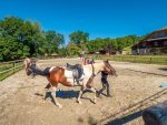 © From Taninges to Les Paddocks du Mont Blanc on horseback - gilles_piel