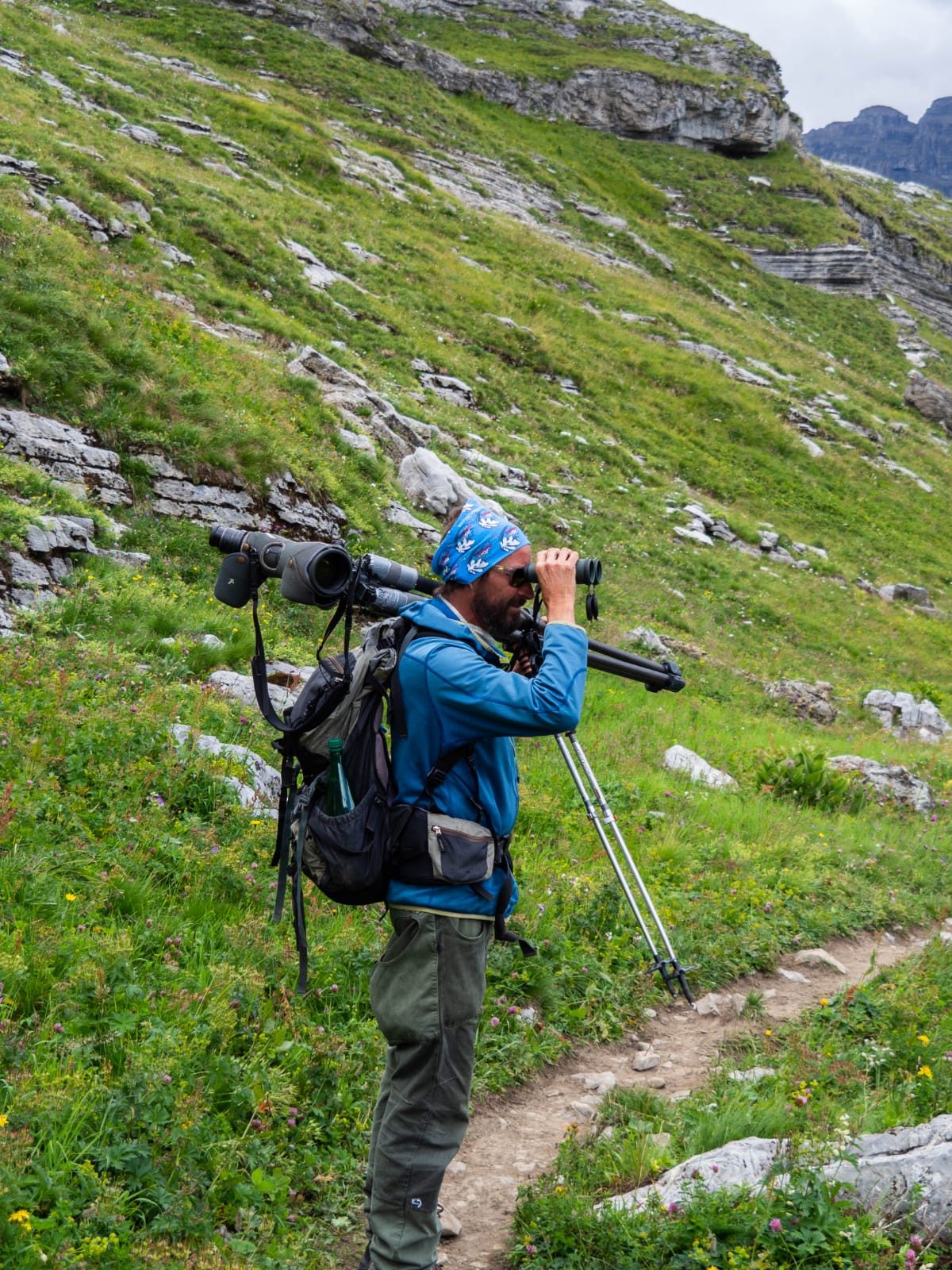 A day with the marmots, including picnic