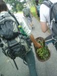Hiking : Wild and edible plants
