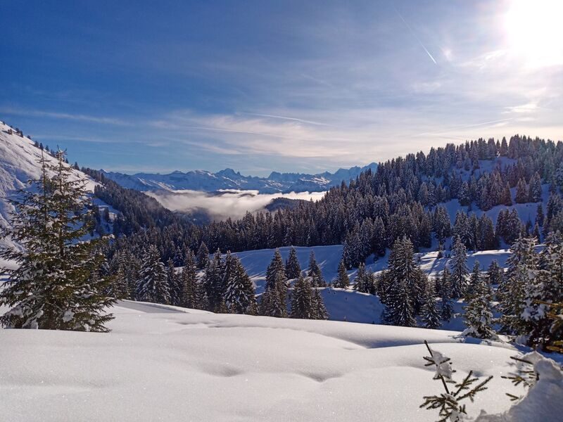 © Snowshoeing day with Swiss fondue in a private chalet - Mathias Mercier