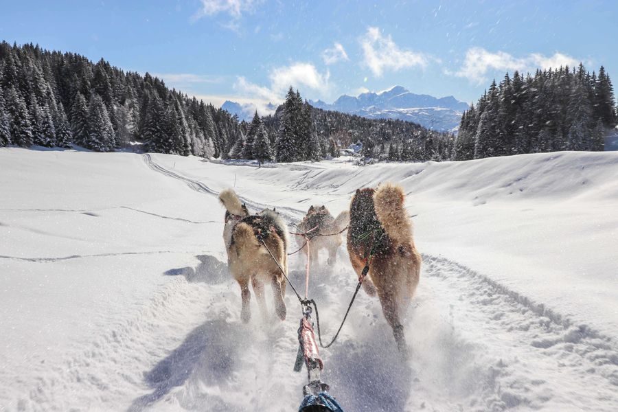 © Dog sledding in Praz de Lys - De beaux lents demain