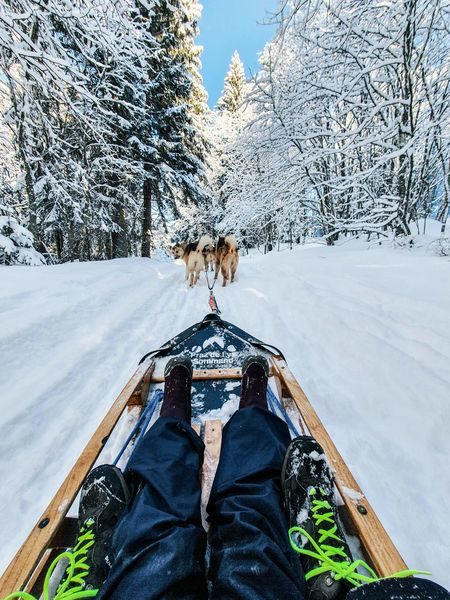 © Dog sledding in Praz de Lys - De beaux lents demain