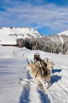 © Dog sledding in Praz de Lys - De beaux lents demain