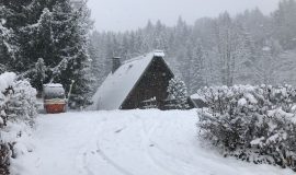 Snowshoe hike with typical alpine meal