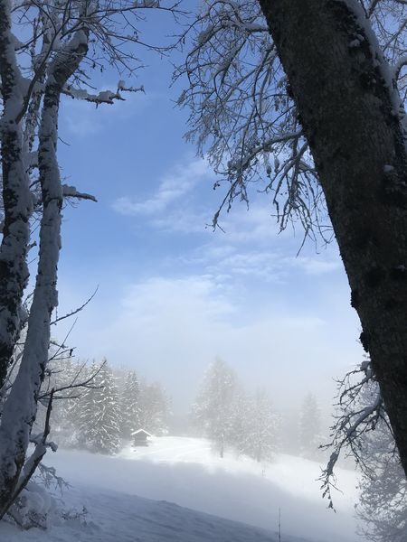 © Snowshoe hike with typical alpine meal - Gauthier Carole