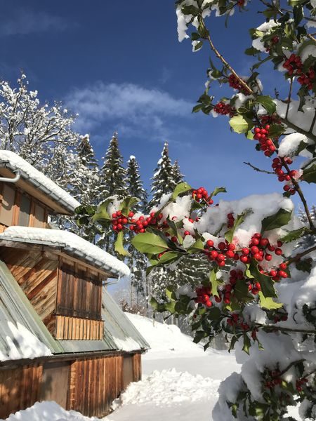 © Snowshoe hike with typical alpine meal - Gauthier Carole