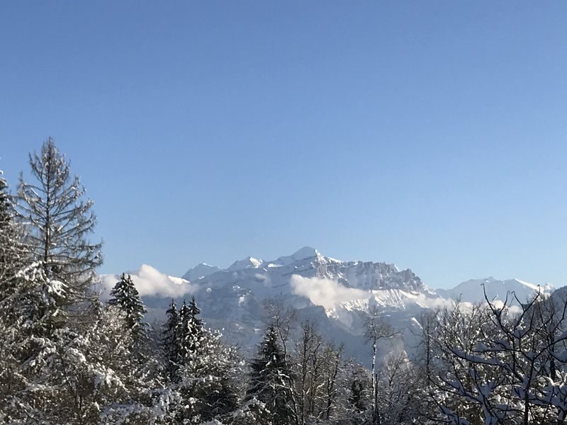 © Snowshoe hike with typical alpine meal - Gauthier Carole