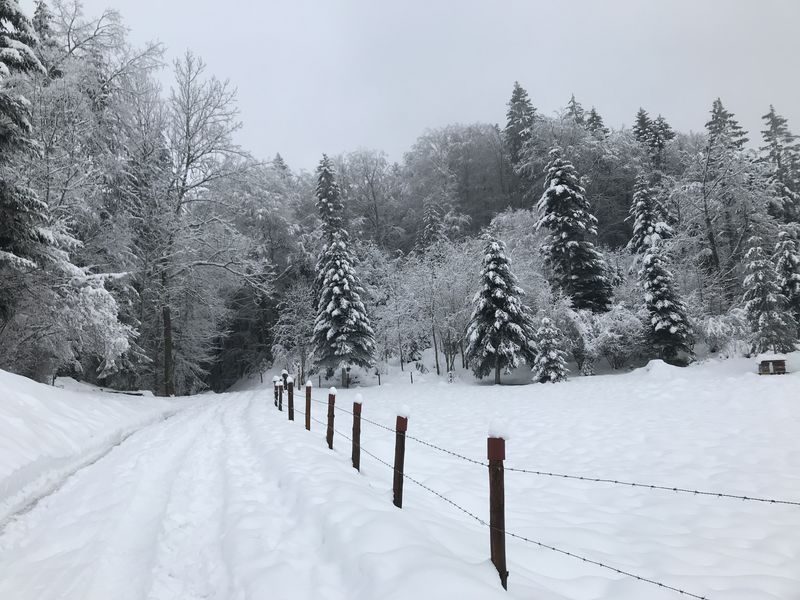 © Snowshoe hike with typical alpine meal - Gauthier Carole