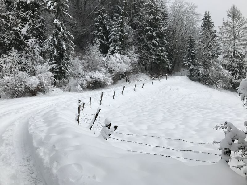 © Snowshoe hike with typical alpine meal - Gauthier Carole