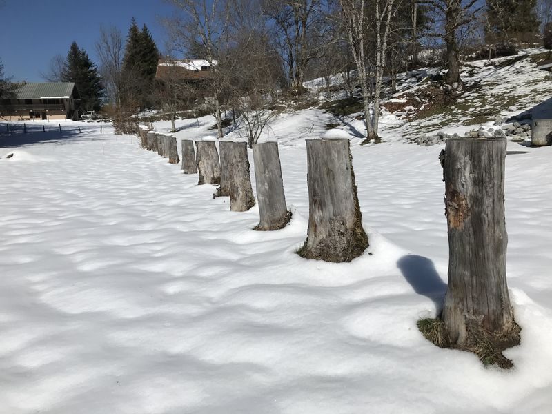 © Snowshoe hike with typical alpine meal - Gauthier Carole