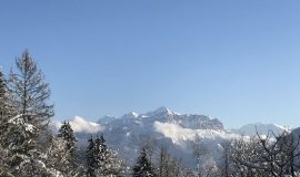 Snowshoeing on the lookout for large animals