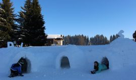 Igloo building