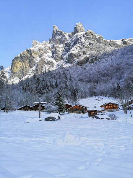 © Natural Reserve of Fer-à-Cheval Cirque - Haut-Giffre Tourisme