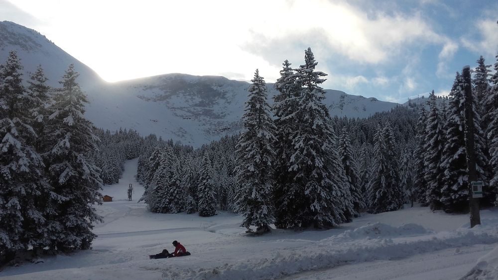 © Peat bog bath - Vecteur Montagne