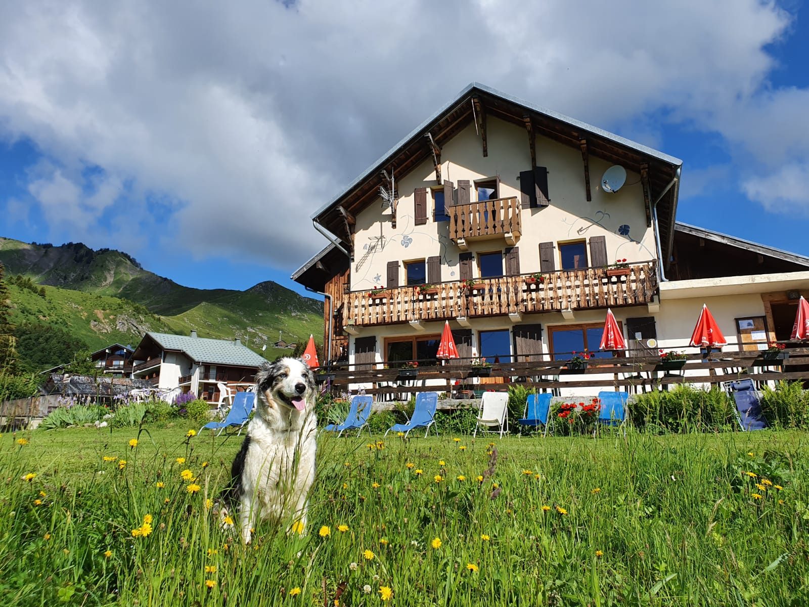 © Le Chamois - Hôtel Le Chamois