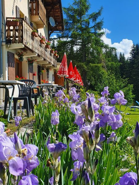 © Le Chamois - Hôtel Le Chamois