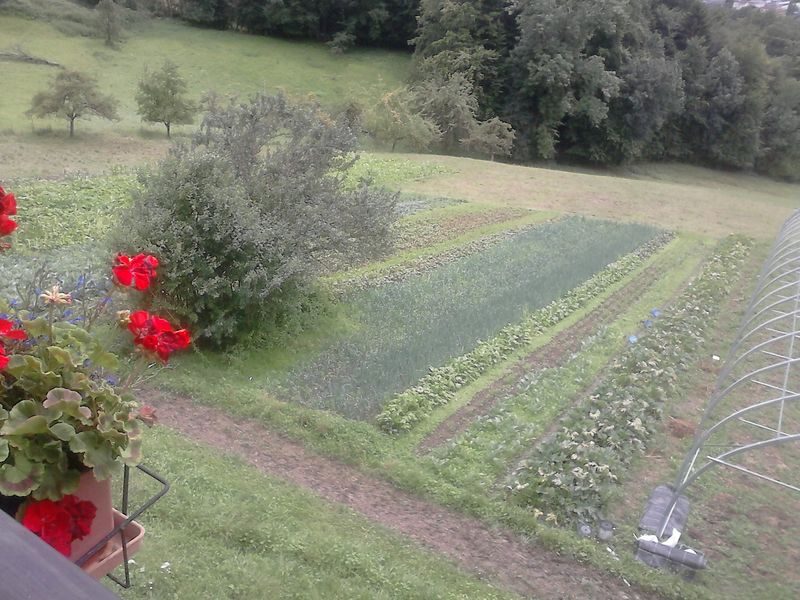 © Gîte accueil paysan - Ferme Baud - Gîte accueil paysan - Ferme Baud