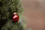 © Sale of Christmas trees - Pixabay