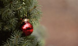 Sale of Christmas trees