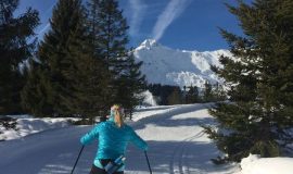 Cross country skiing private lessons