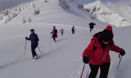 Snowshoeing and picnic day with the chamois