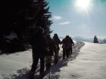 © Thematic snowshoe outing - Vecteur Montagne
