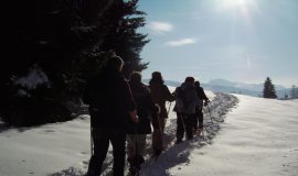Thematic snowshoe outing