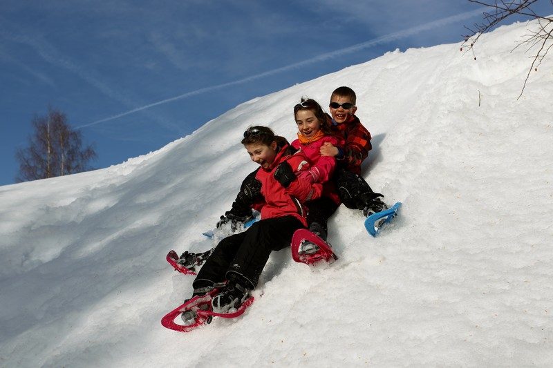 © Thematic snowshoe outing - Vecteur Montagne