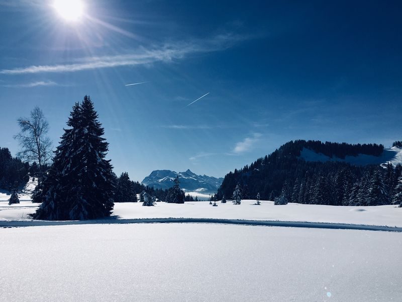 © Snowshoeing & Relaxation - Roxane Rassinoux