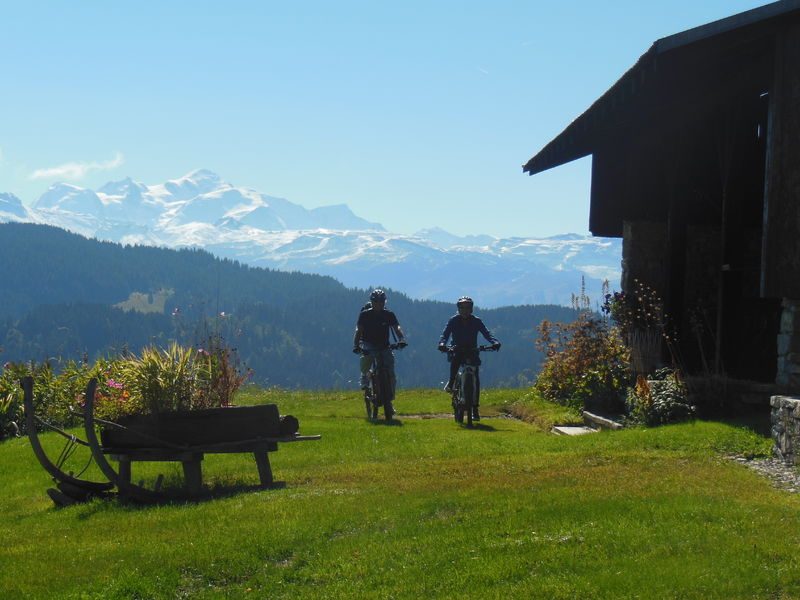 © Mountain biking - Vecteur Montagne