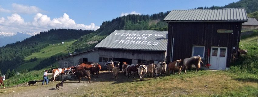 © Taste of the farm - Auberge du Lys Blanc