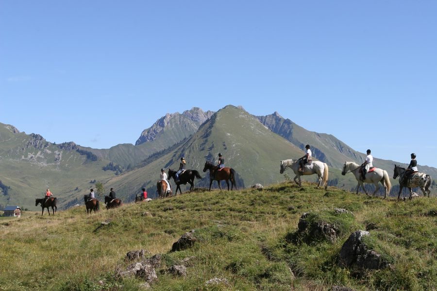 © La Grande Ourse Equestrian Centre - La Grande Ourse