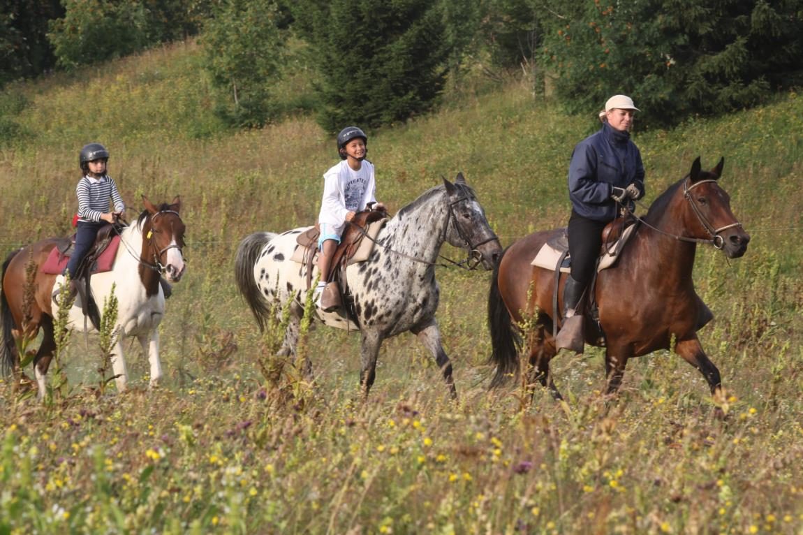 © Horse riding - La Grande Ourse