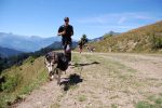 © Dog hiking - Les traîneaux de l'Ubac