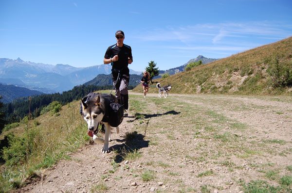 © Supervised outing to discover Cani-randonnée - Les traîneaux de l'Ubac