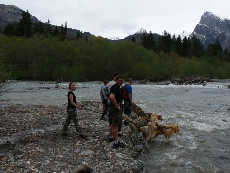 © Supervised outing to discover Cani-randonnée - Les traîneaux de l'Ubac