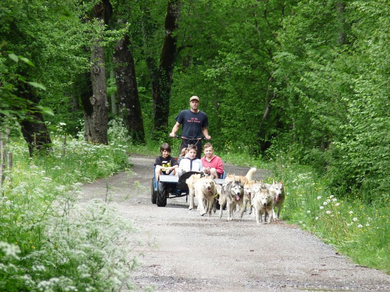 © Cani-kart - Les Traîneaux de l'Ubac