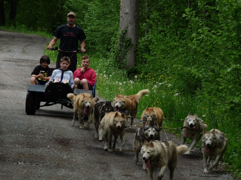 © Cani-kart - Les Traîneaux de l'Ubac