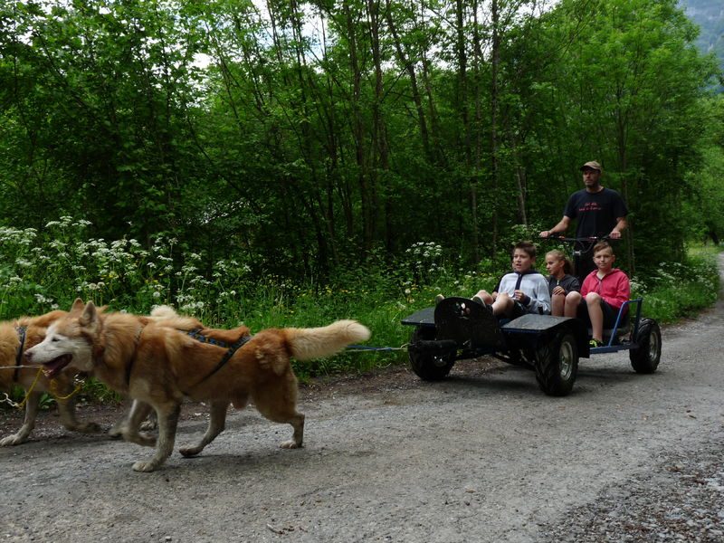 © Cani-kart - Les Traîneaux de l'Ubac