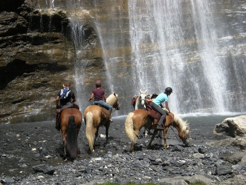 © Horse riding - Les Paddocks du Mont Blanc