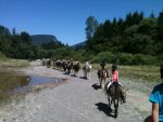 © Horse riding - Les Paddocks du Mont Blanc