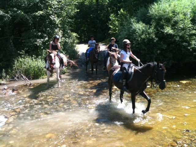 © Horse riding - Les Paddocks du Mont Blanc