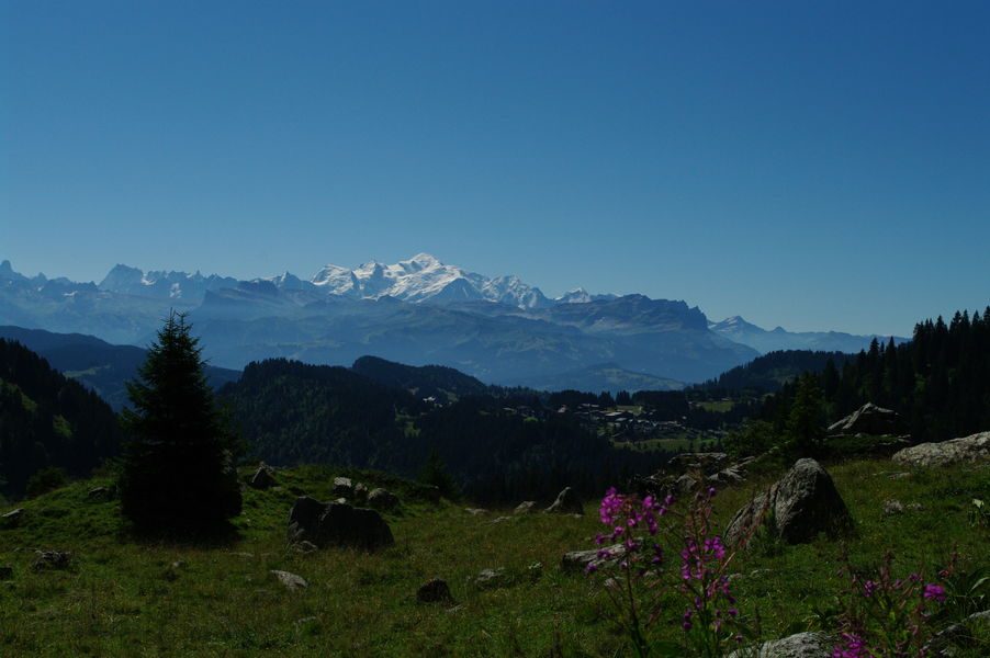 © Praz de Lys Sommand Taninges et Mieussy - Praz de Lys Sommand Tourisme