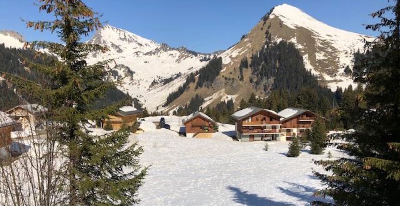 © Chalet Les Trolles - 80 m² - n°807 - Lassourd Charlotte