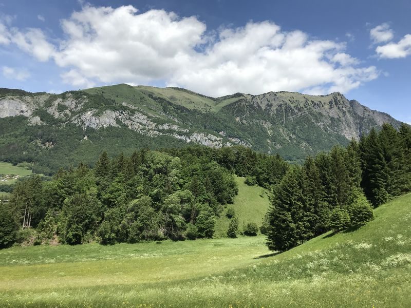 © Sur le Coux Trail - Praz de Lys Sommand Tourisme