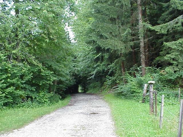 © Sur le Coux Trail - Praz de Lys Sommand Tourisme