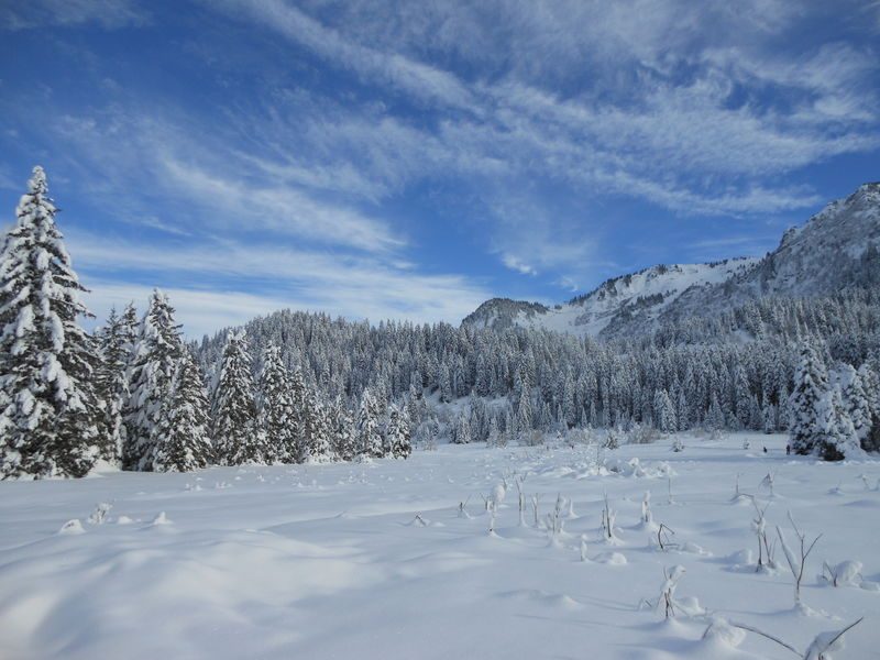 © The fir tree loop - Praz de Lys Sommand Tourisme