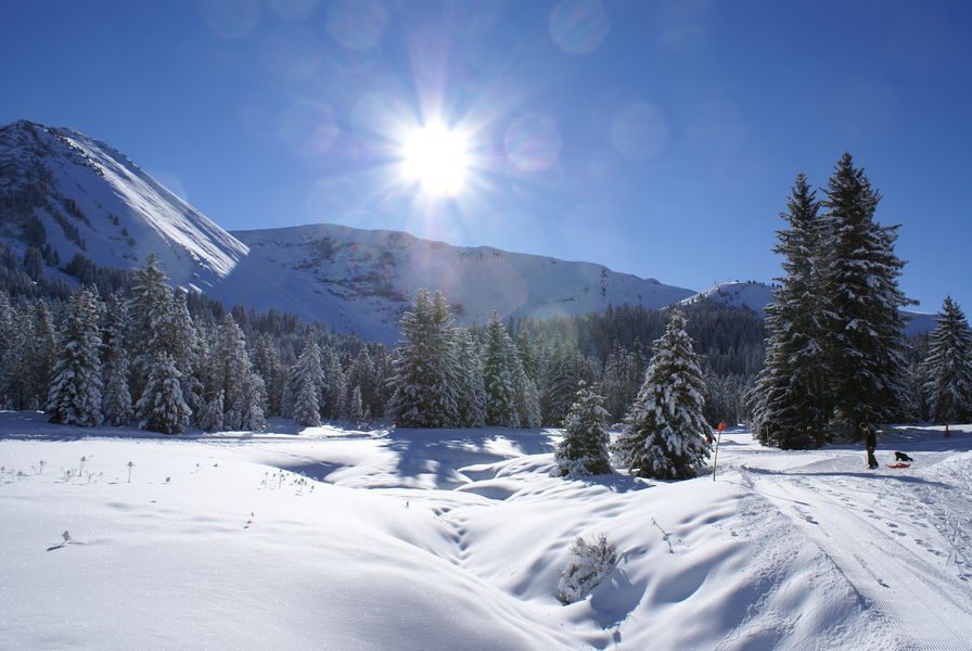 © The fir tree loop - Praz de Lys Sommand Tourisme