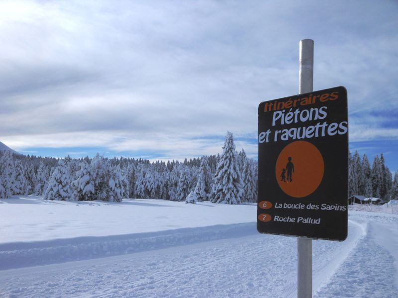 © Fir trees Loop - Praz de Lys Sommand Tourisme